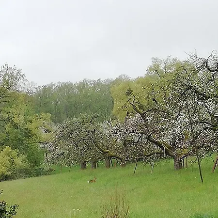 Himmelthal Διαμέρισμα Eschau