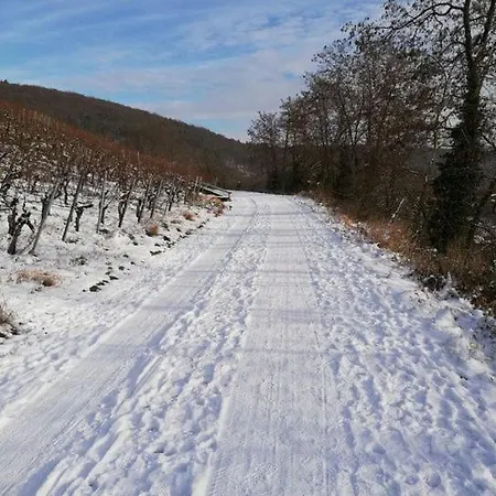 Διαμέρισμα Himmelthal